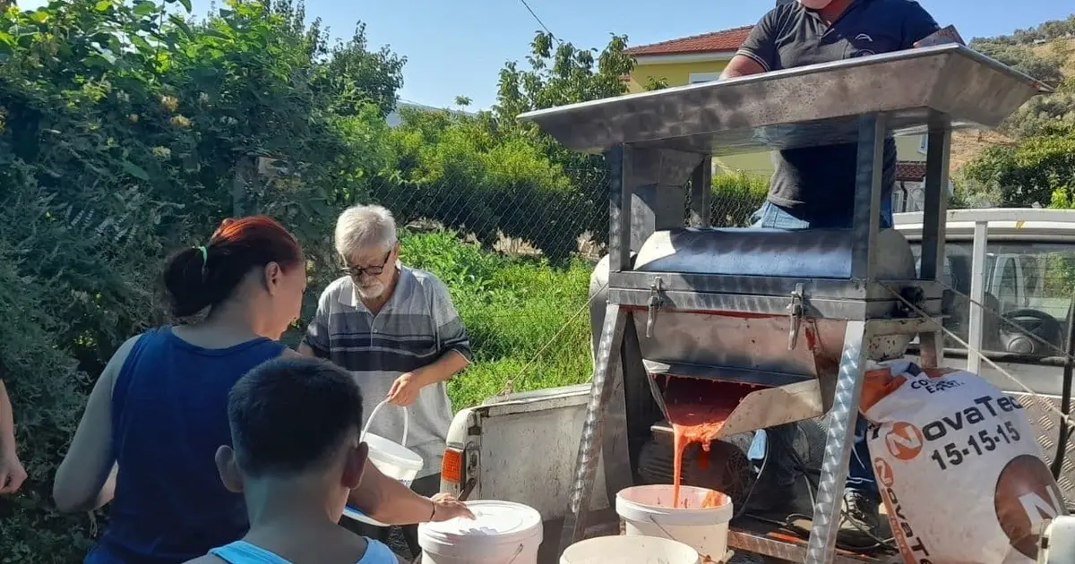 İzmir Efes Selçuk’ta kışlık domates hazırlığı